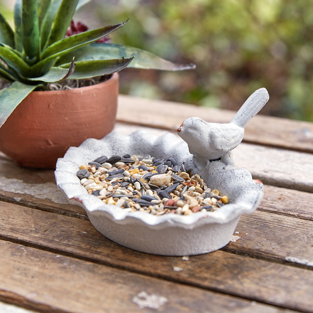 Bird feeding dishes sale