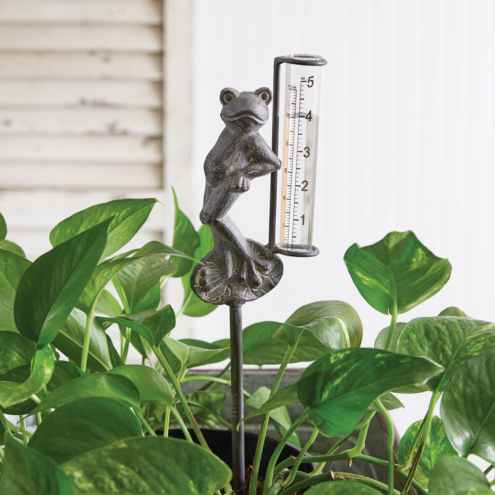 Frog Rain Gauge Garden Pick - Box of 2