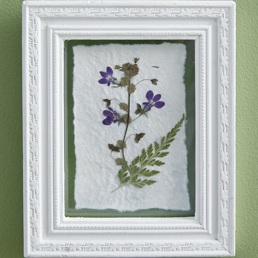 Pressed Botanical Wall Decor - Violets