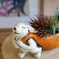 Ceramic Rabbit Pulling a Carrot Planter