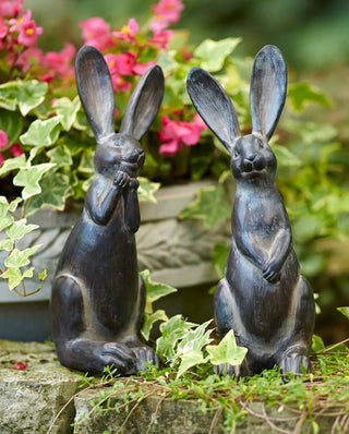 Rabbit's Set of 2