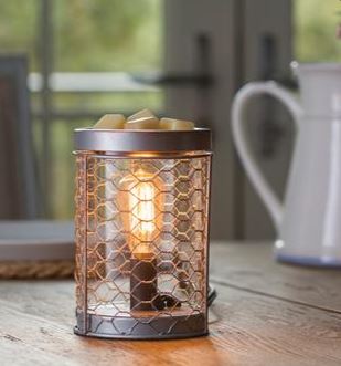 Chicken Wire Edison Bulb Illumination - River Chic Designs